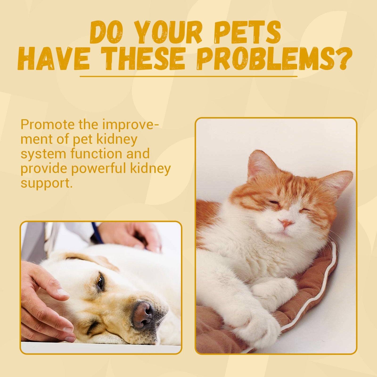 	

	
dog energy supplement
		
	
